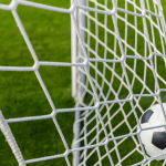 Grêmio Desportivo Saocarlense