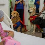 Benefícios da cinoterapia no tratamento oncológico infantil e a humanização hospitalar