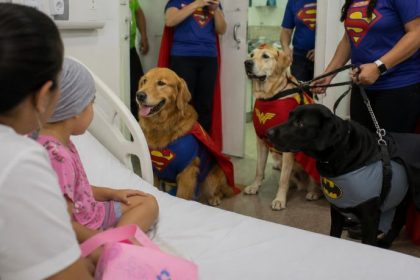 Benefícios da cinoterapia no tratamento oncológico infantil e a humanização hospitalar
