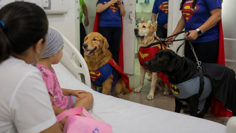 Benefícios da cinoterapia no tratamento oncológico infantil e a humanização hospitalar