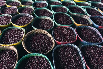 Cestos coloridos cheios de açaí em um mercado de Belém, no Pará.