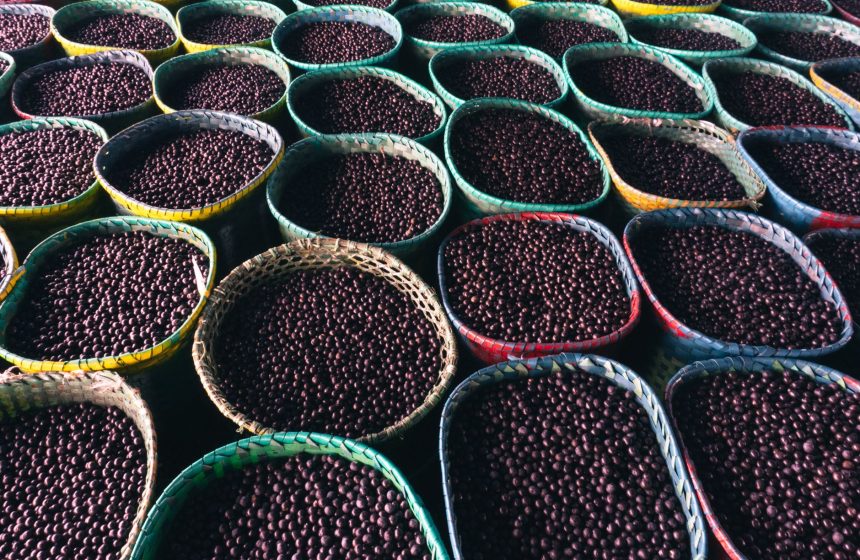 Cestos coloridos cheios de açaí em um mercado de Belém, no Pará.